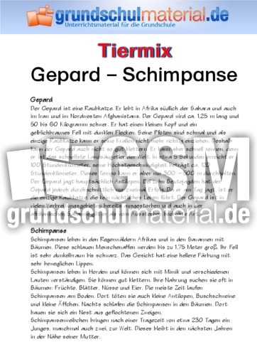 Gepard - Schimpanse.pdf